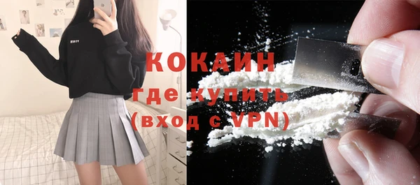 стаф Осташков
