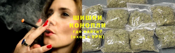 стаф Осташков