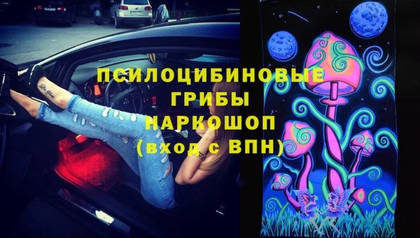 ПСИЛОЦИБИНОВЫЕ ГРИБЫ Пестово