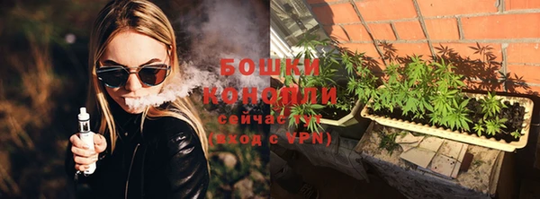 дмт Нея