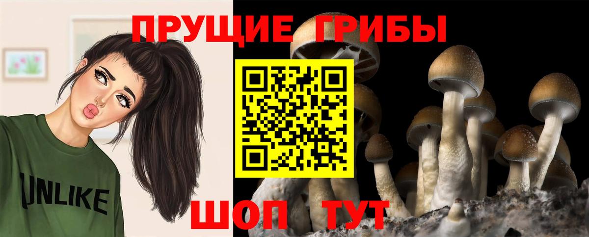 Псилоцибиновые грибы Уварово